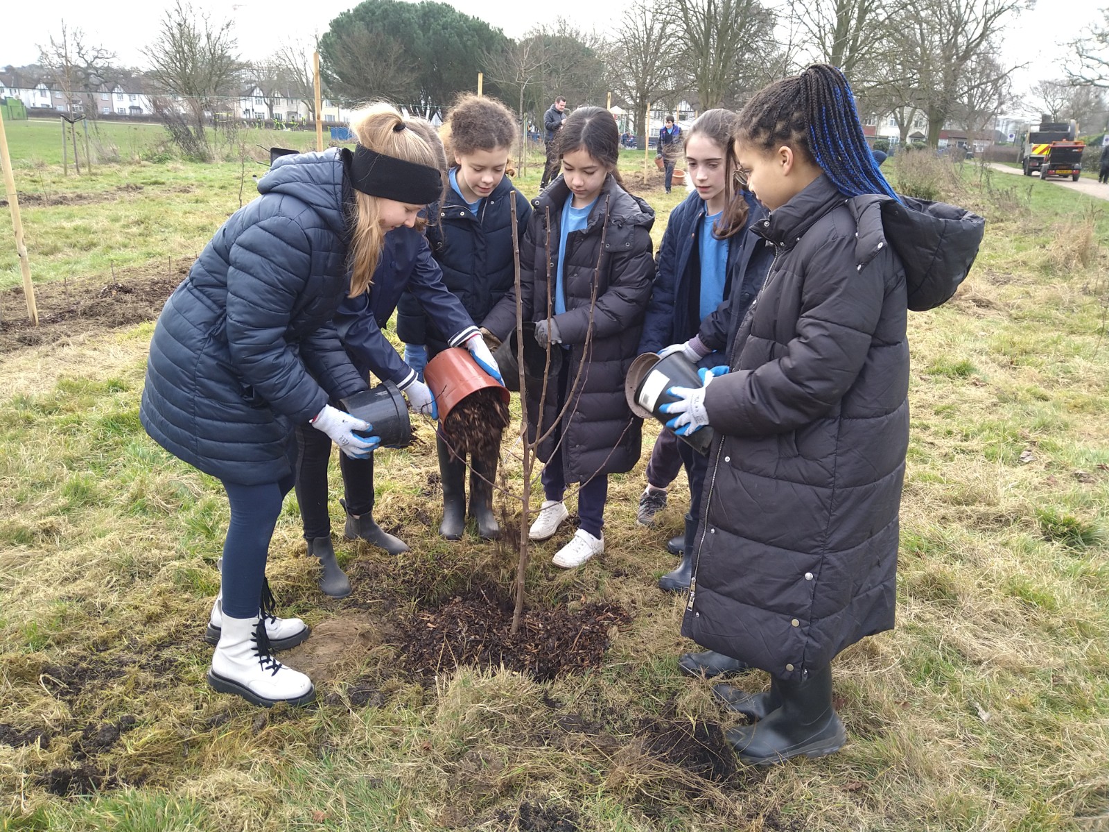 Planting trees