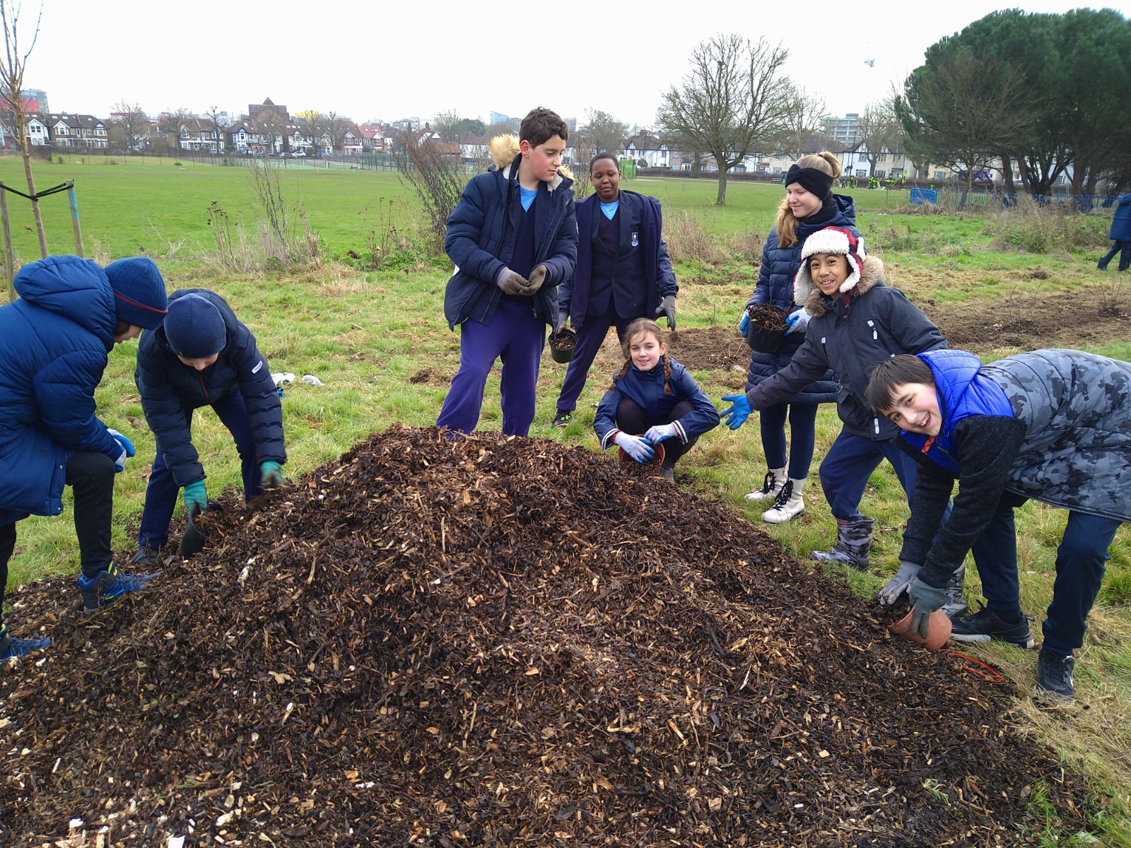 mulching