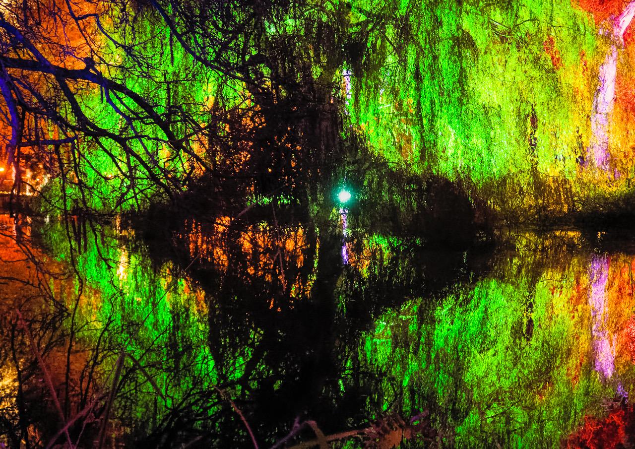 Trees and reflections, Syon Park