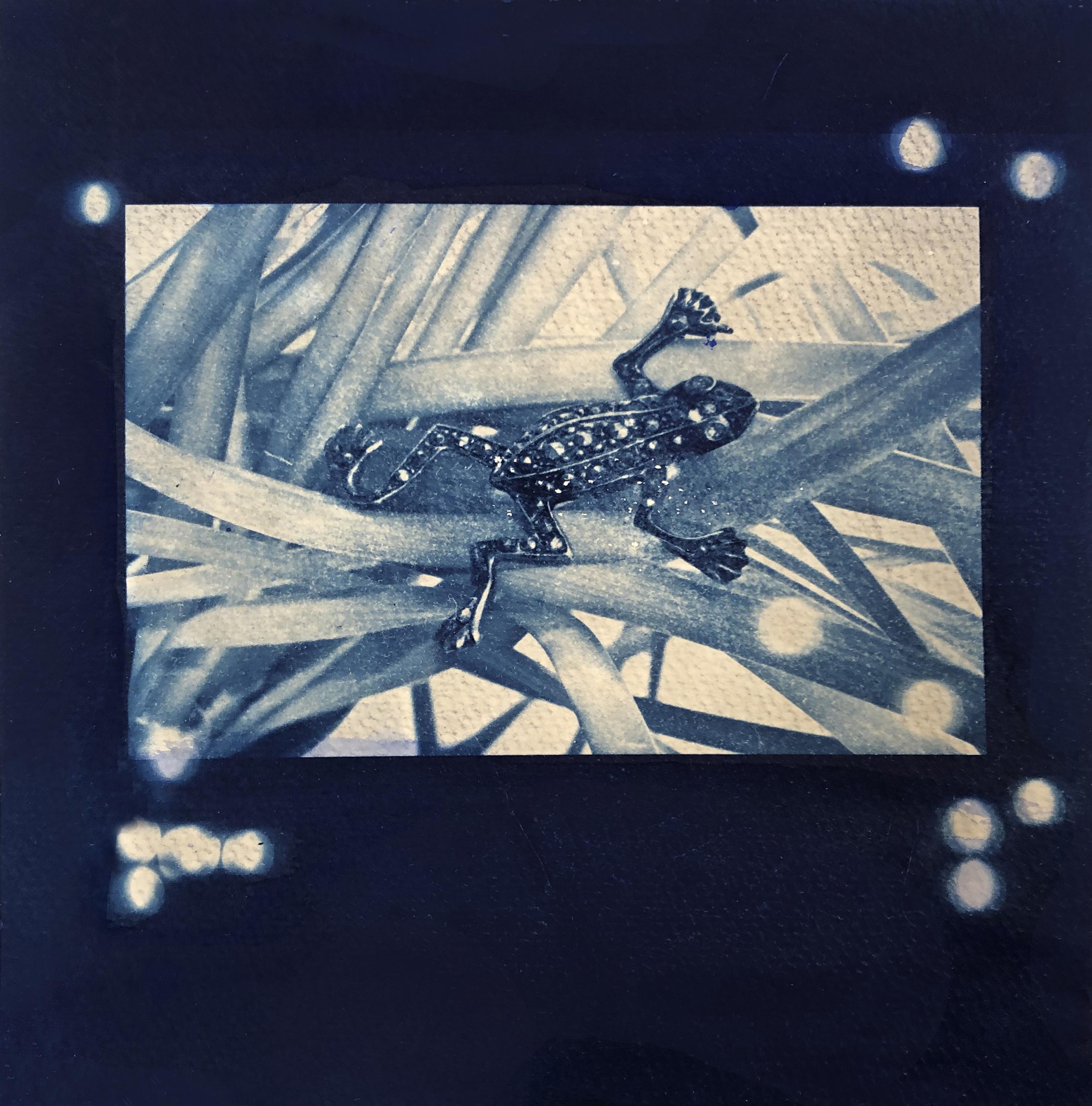 Cyanotype image of jewelled frog 