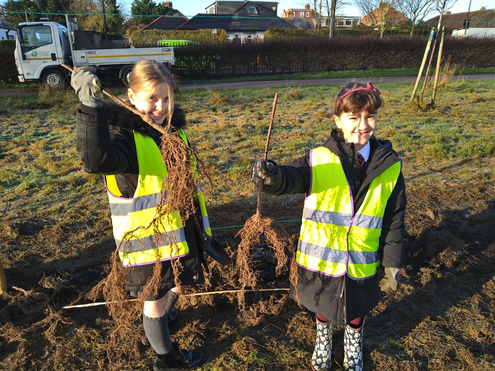 Foraging Field