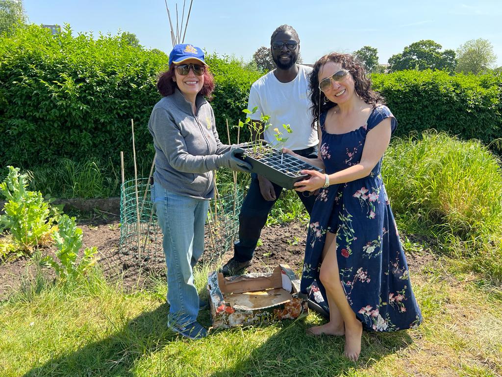 community gardening