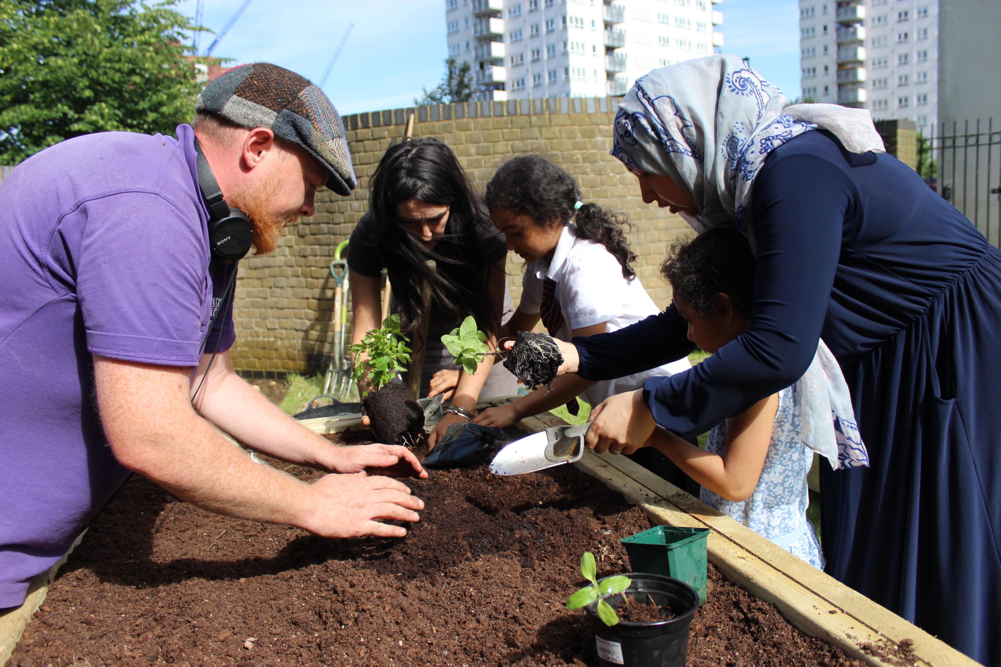 Planting day