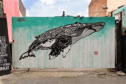 Whale. Shoreditch. Lily Mixe